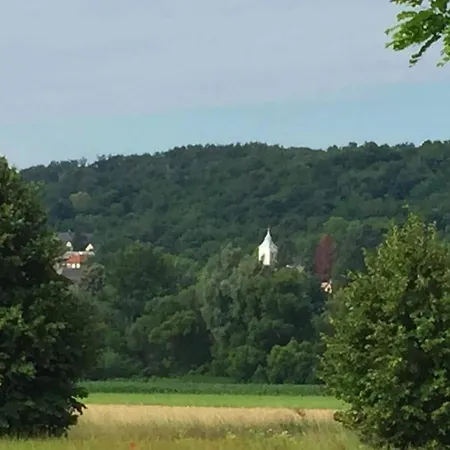 Kispatak Kohaz 아파트 *